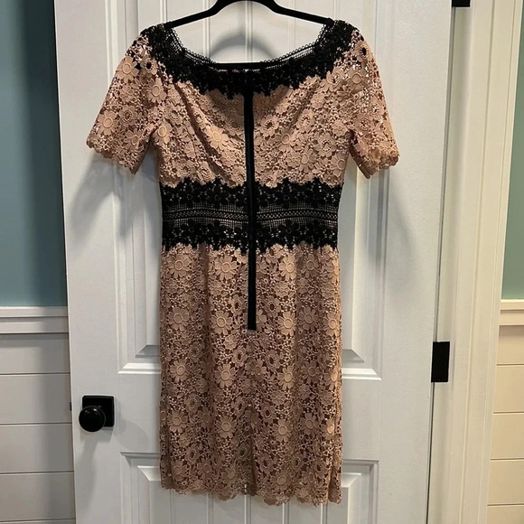 NUE by Shani Lace‎ Floral Nude w/Black Waist/Shoulder Accent Dress. Size 2.  NWT - Picture 6 of 14